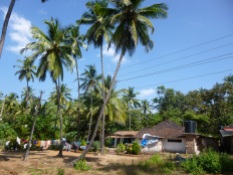 Village de Patnem