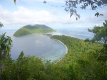 Kri island vu depuis son sommet au milieu de la jungle avec une vue imprenable sur sa voisin Mansowa